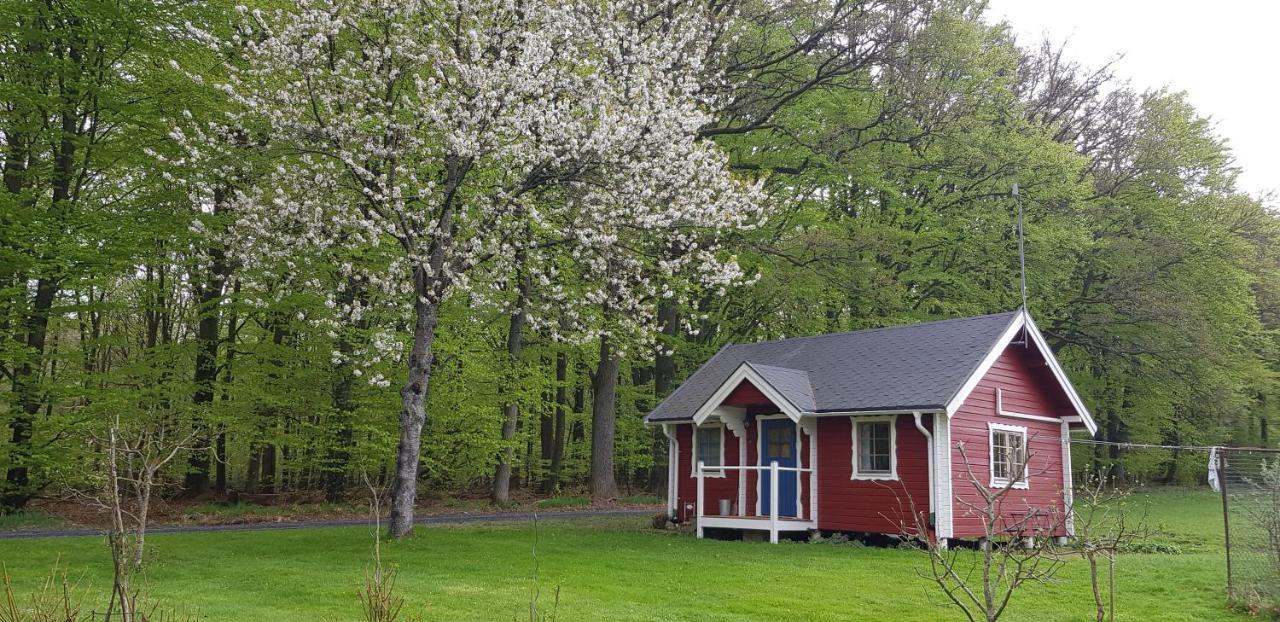 Villa Lill Hagahus, Soederasens Nationalpark Kågeröd Exterior foto