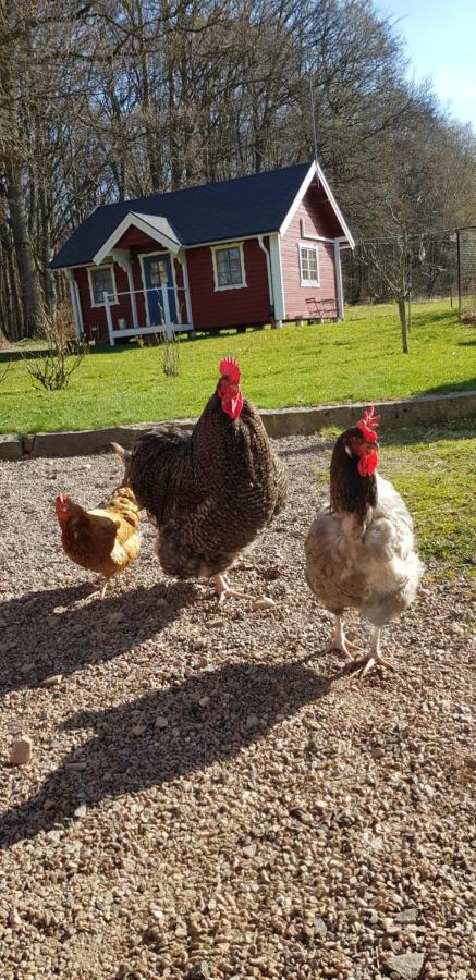 Villa Lill Hagahus, Soederasens Nationalpark Kågeröd Exterior foto